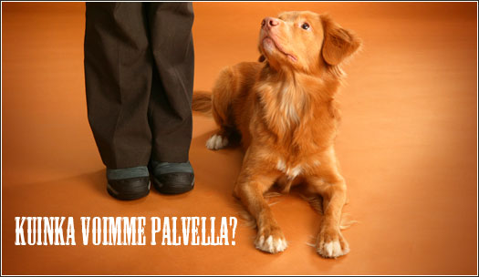 Kuinka voimme palvella?